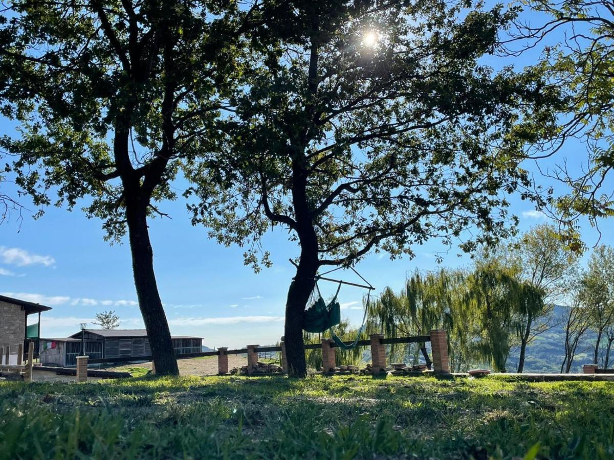 Agriturismo Cergallina Vernasca 外观 照片