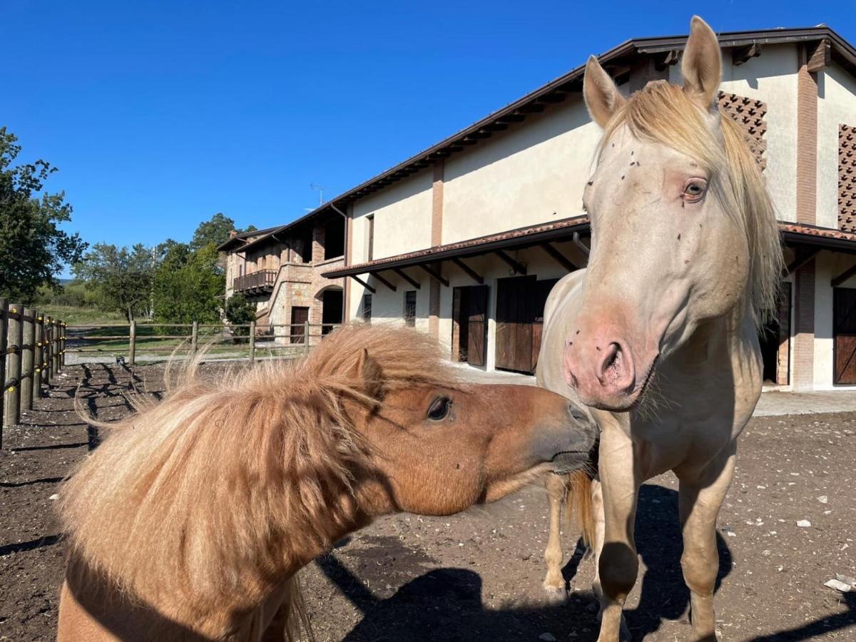 Agriturismo Cergallina Vernasca 外观 照片