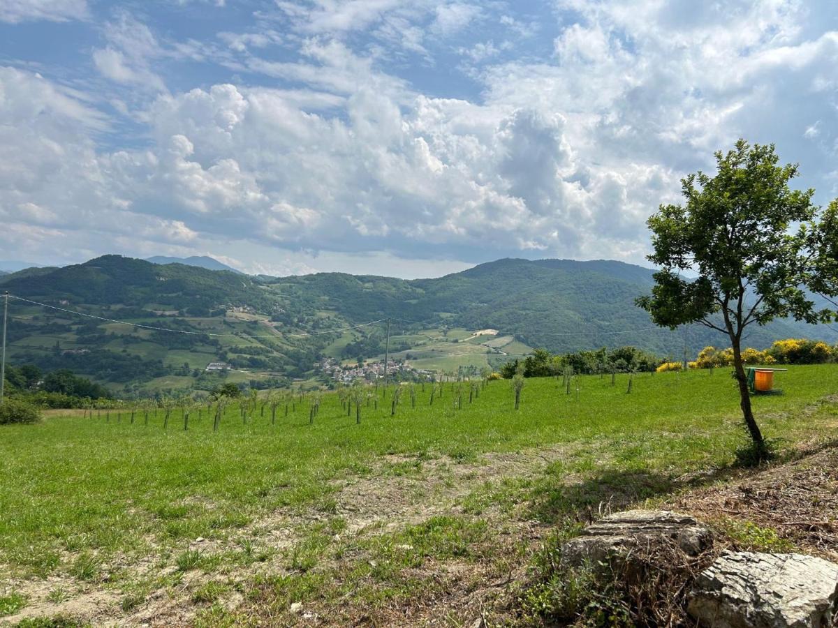 Agriturismo Cergallina Vernasca 外观 照片