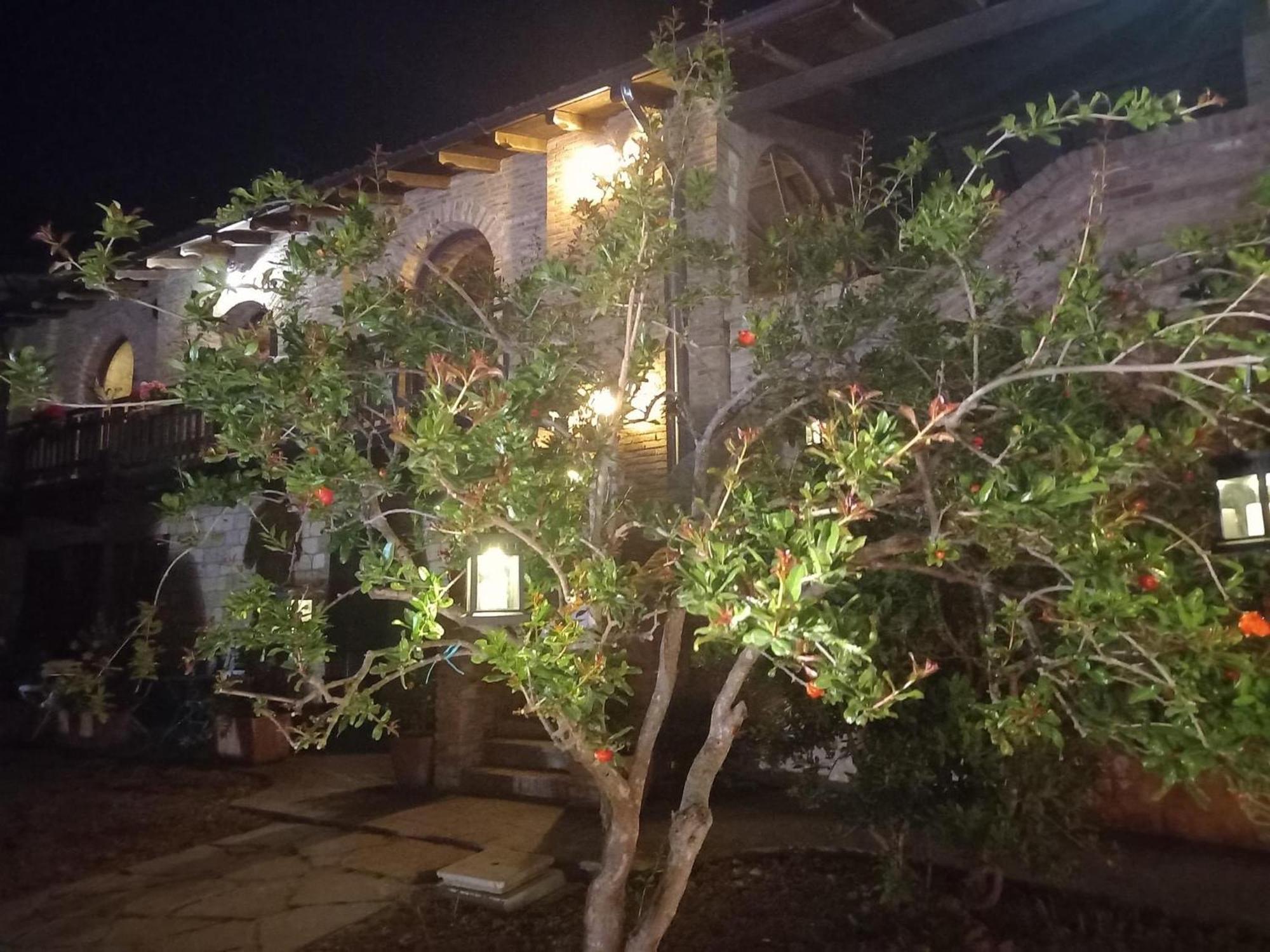 Agriturismo Cergallina Vernasca 外观 照片