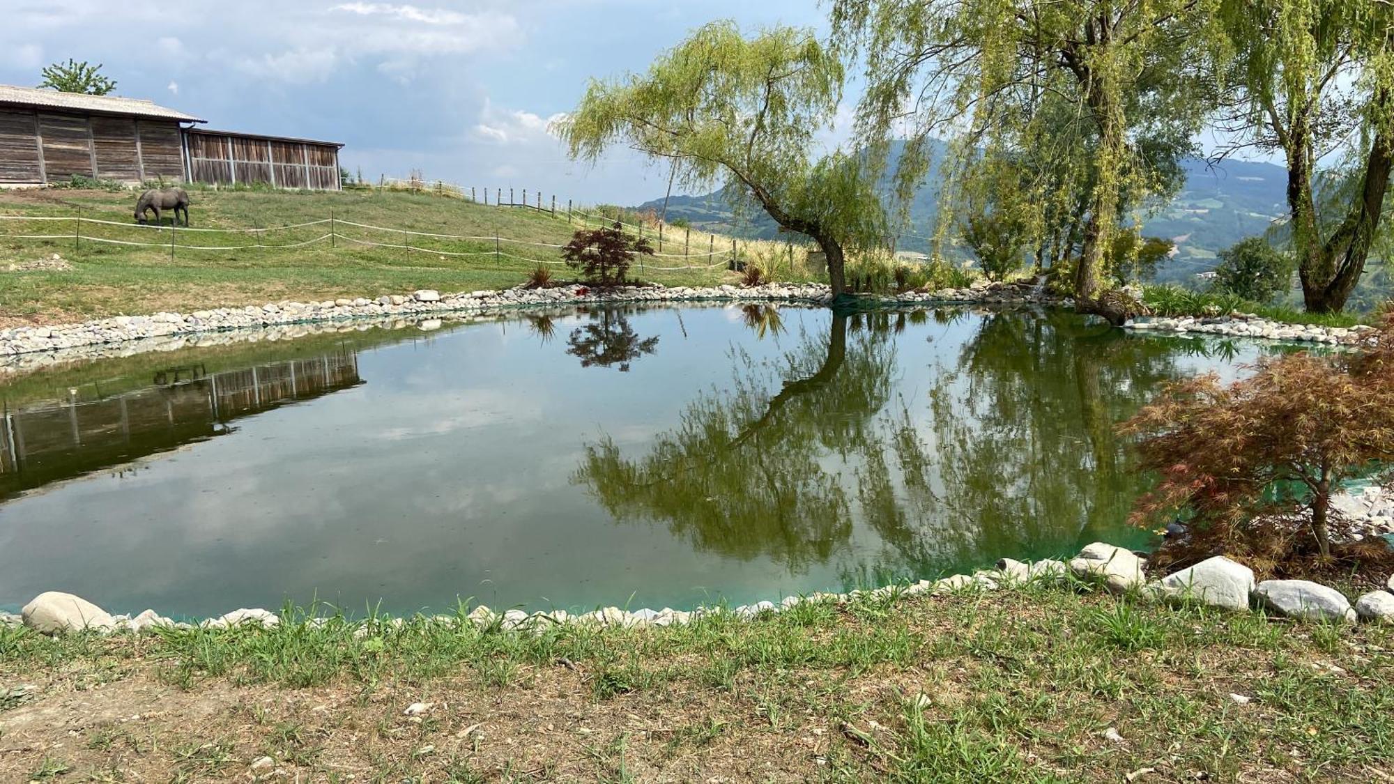 Agriturismo Cergallina Vernasca 外观 照片