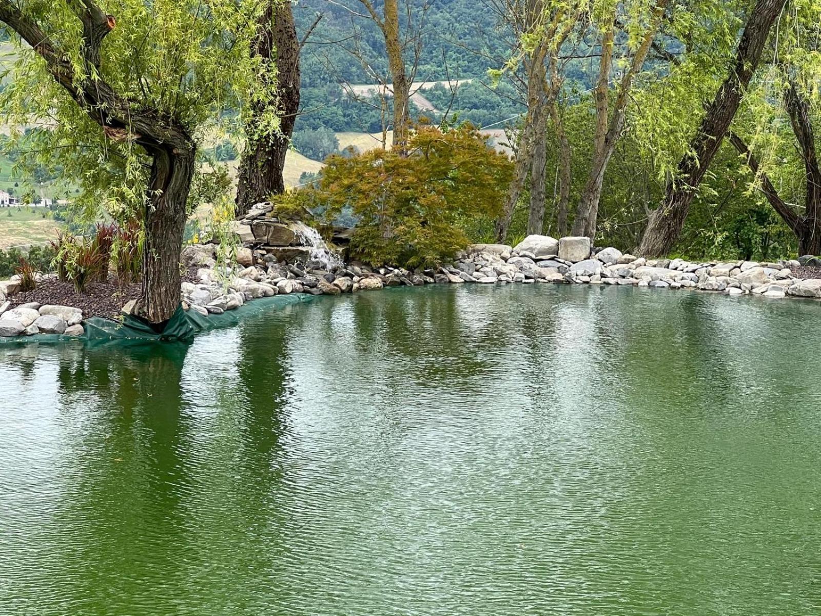 Agriturismo Cergallina Vernasca 外观 照片