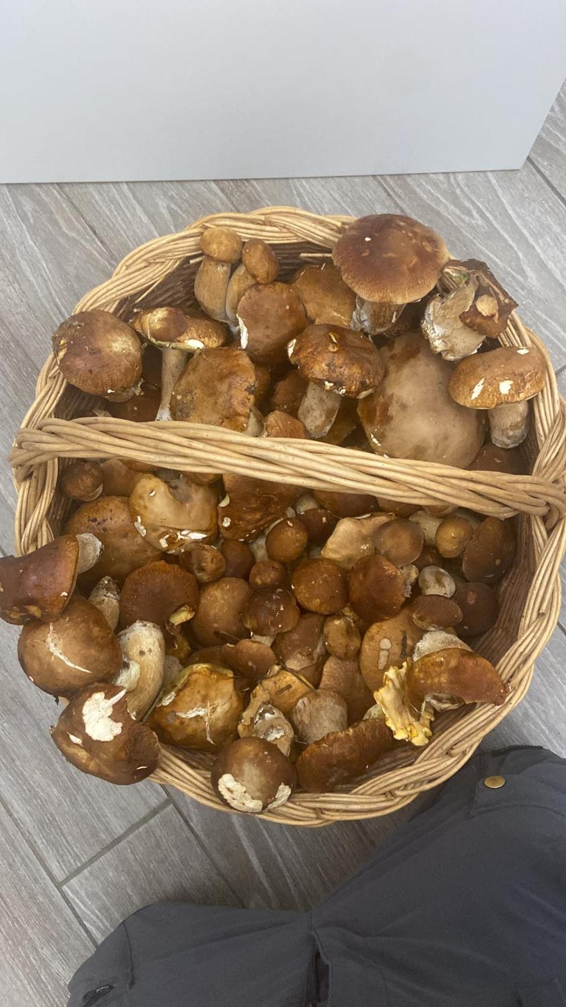 Agriturismo Cergallina Vernasca 外观 照片
