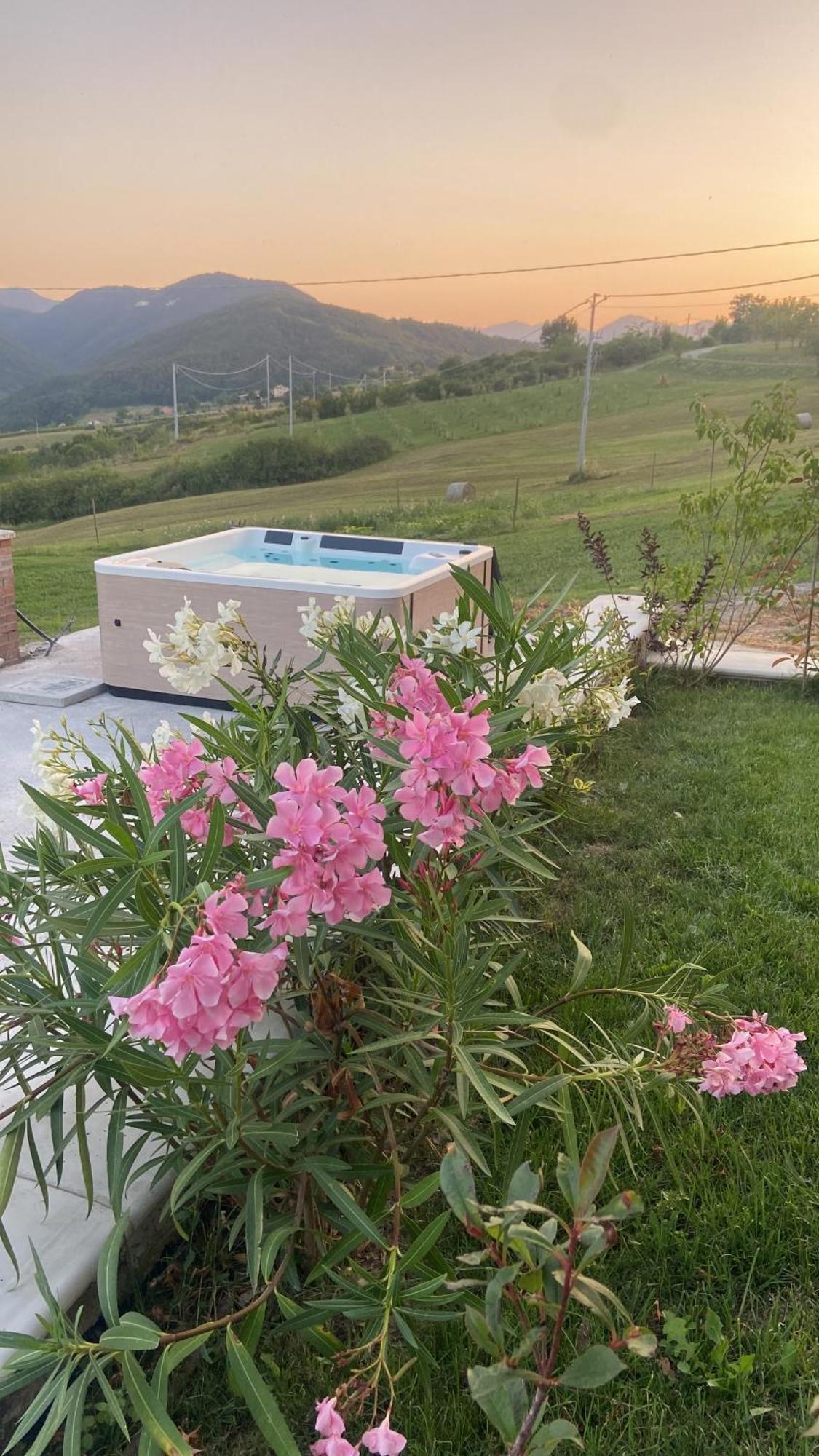 Agriturismo Cergallina Vernasca 外观 照片